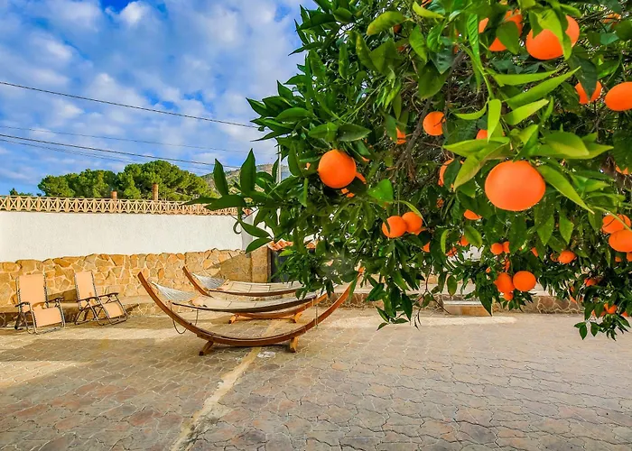 Open And Large 1 Bed Apartment