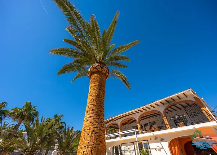 Villa Delfin, 3 tolle Apartements für je 4 bis 6 Personen - in L Alfàs del Pi